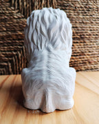 Gesso Aromático Leão